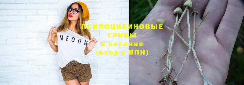 купить наркотик  Нефтегорск  Псилоцибиновые грибы Magic Shrooms 